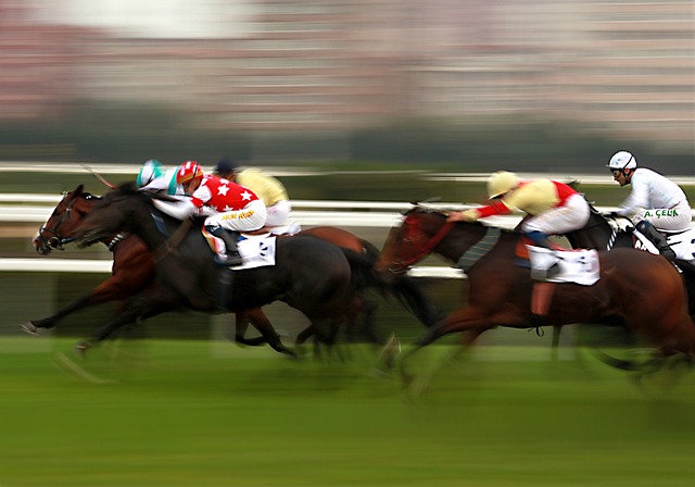 horse racing betting markets