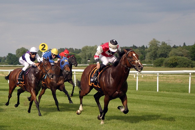 Our recommended TOP-8 websites for betting on horse racing